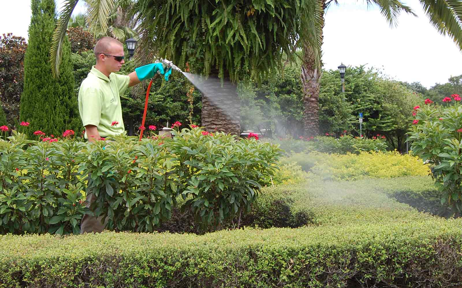 Pesticide Spraying