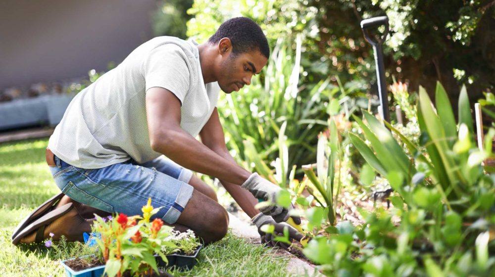 Florida landscaping for men's health